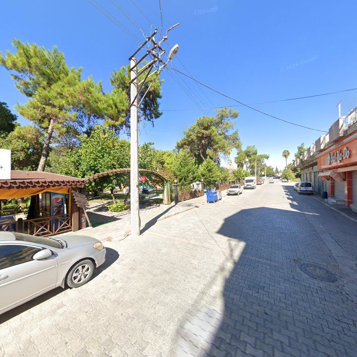 Fotoğraf 7