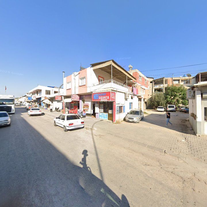 Fotoğraf 7