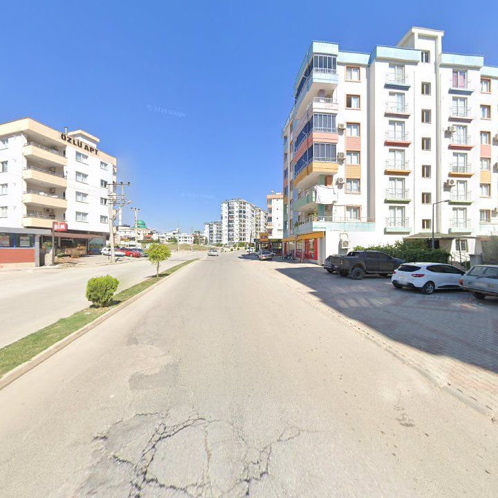 Fotoğraf 12