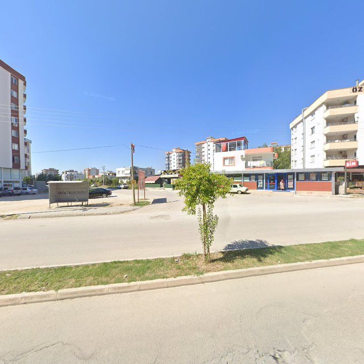 Fotoğraf 11