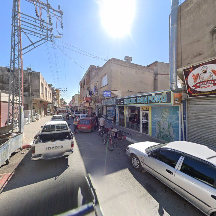 Fotoğraf 10