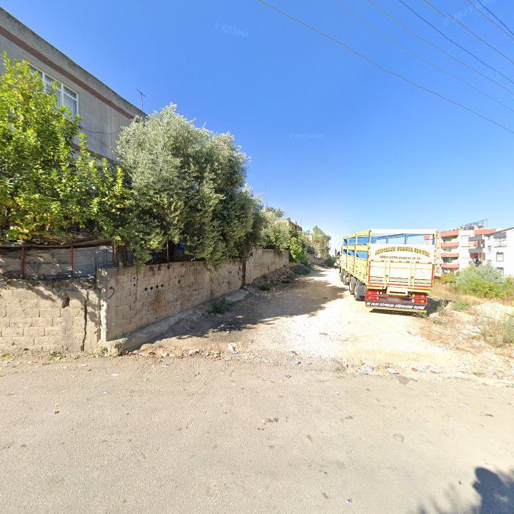 Fotoğraf 3