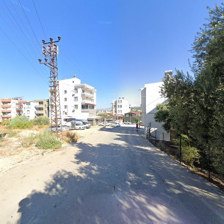 Fotoğraf 4