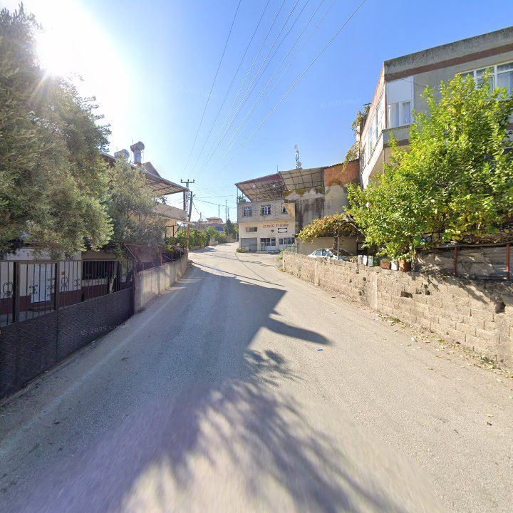 Fotoğraf 2