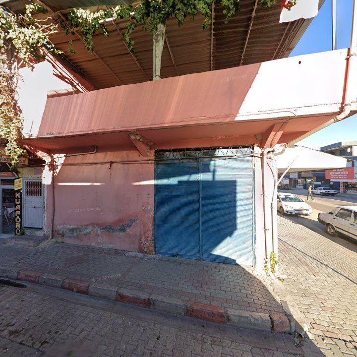 Fotoğraf 7