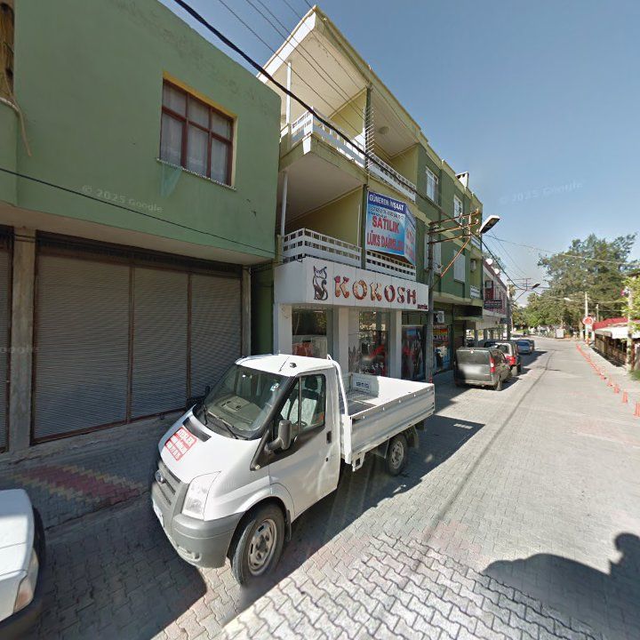 Fotoğraf 7