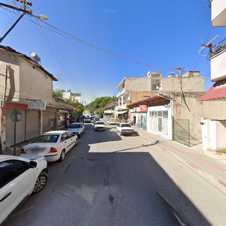 Fotoğraf 5