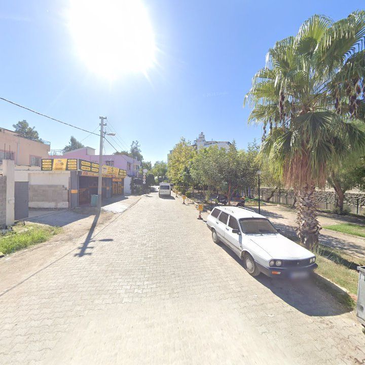 Fotoğraf 7