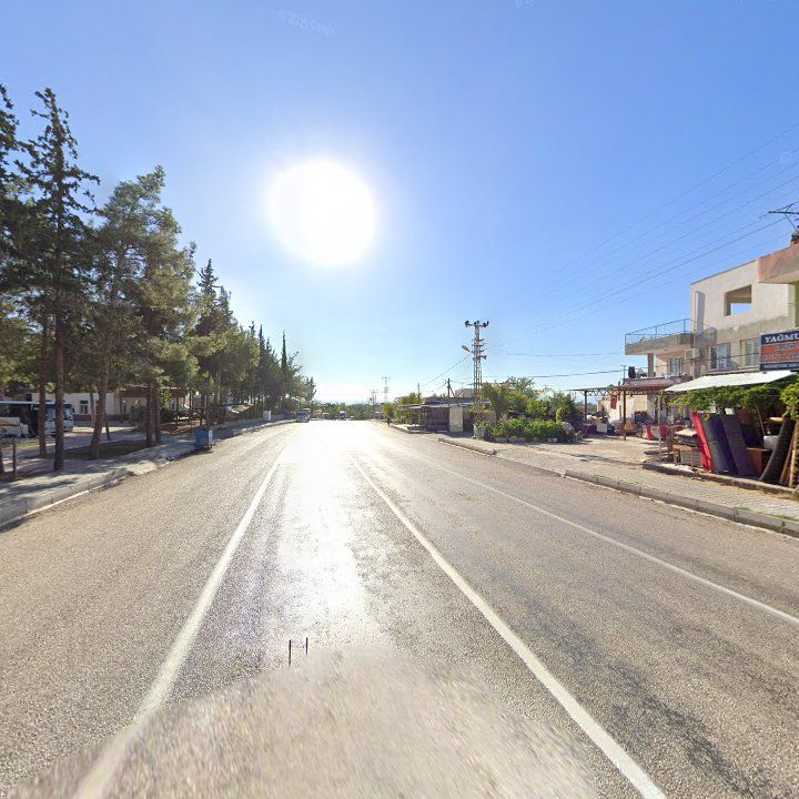 Fotoğraf 6