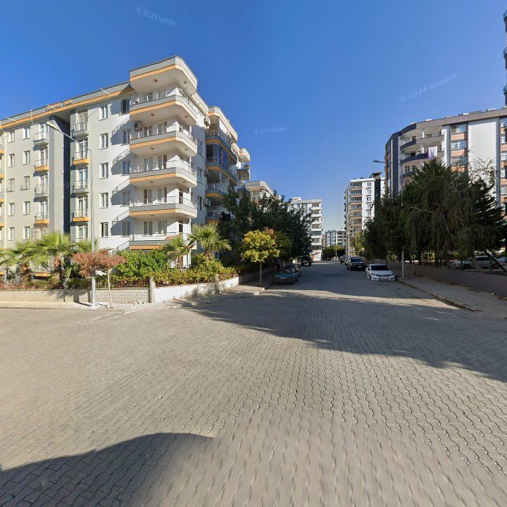 Fotoğraf 3