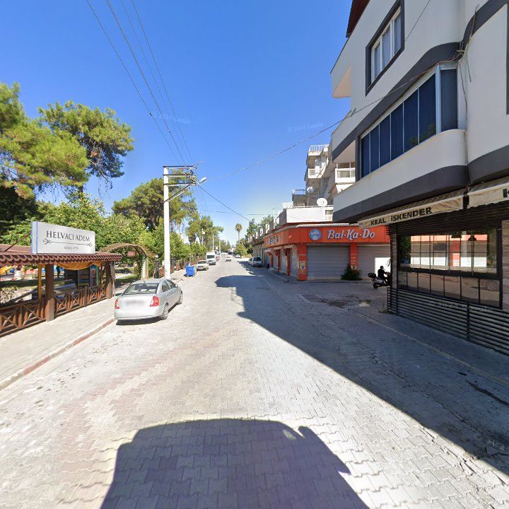 Fotoğraf 11
