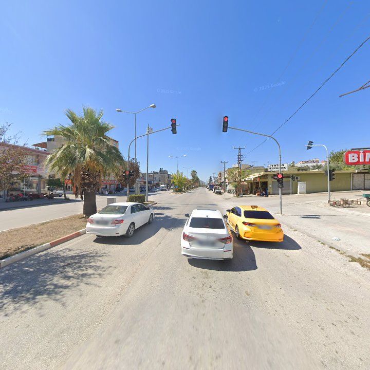 Fotoğraf 7