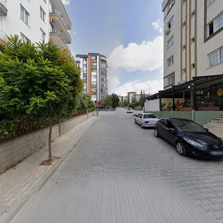 Fotoğraf 9