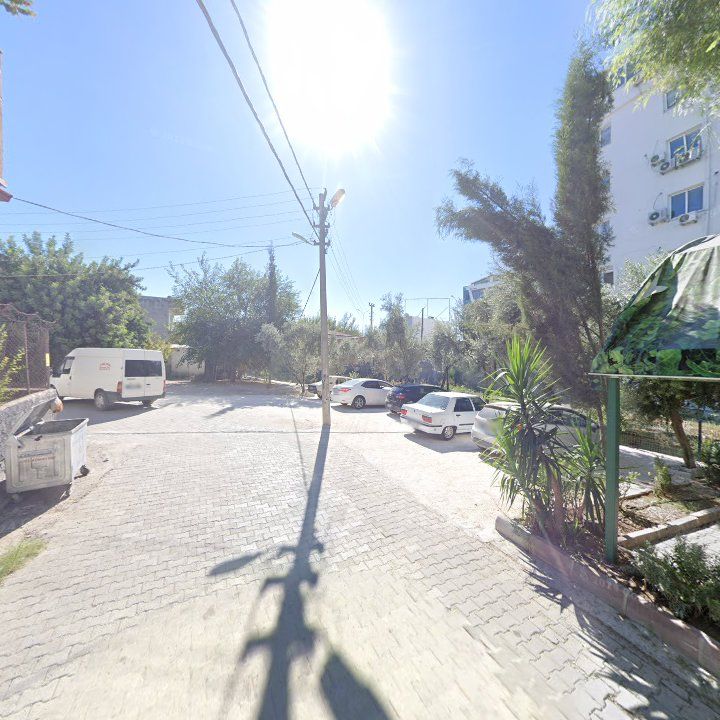 Fotoğraf 6