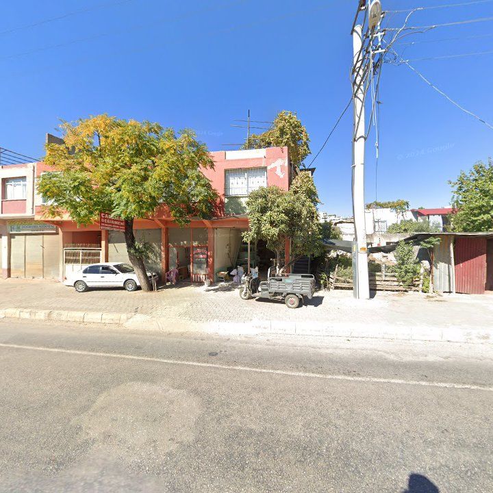 Fotoğraf 3