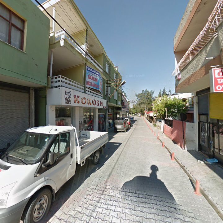 Fotoğraf 9