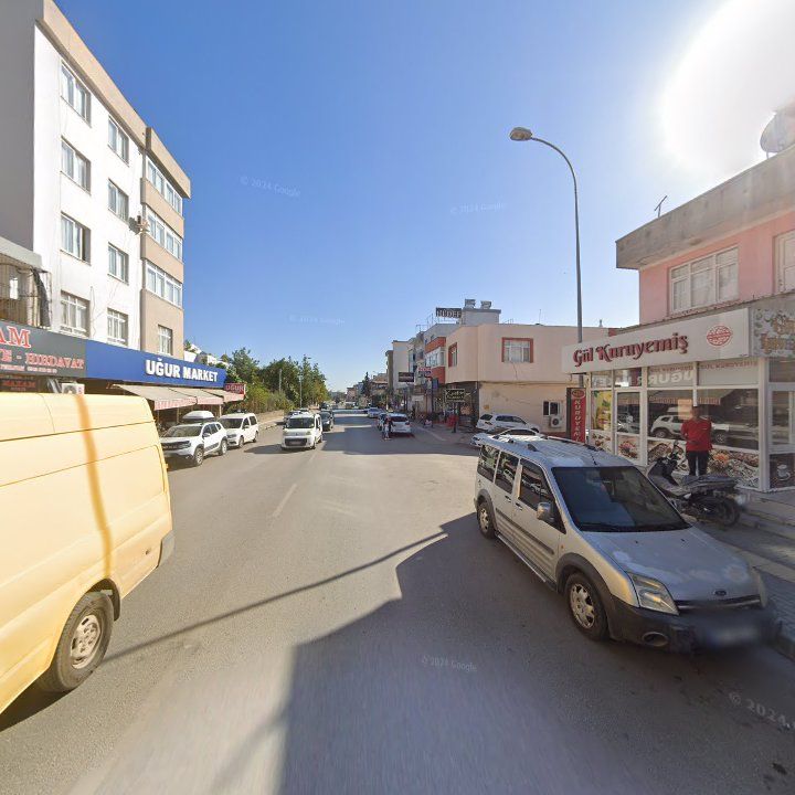 Fotoğraf 9
