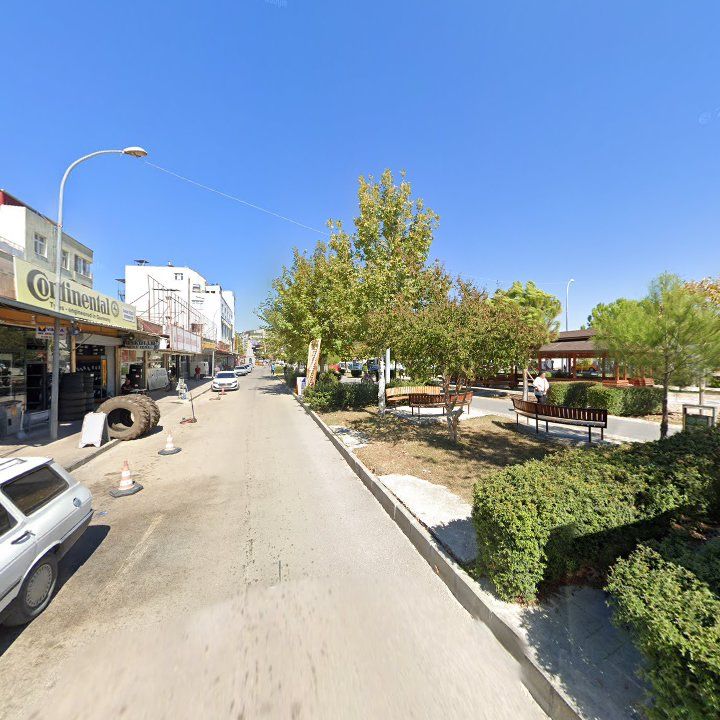 Fotoğraf 10