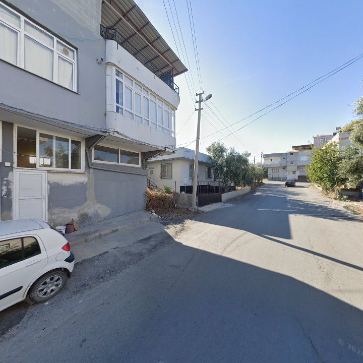 Fotoğraf 3