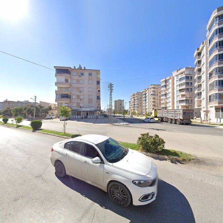 Fotoğraf 10