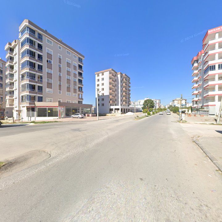 Fotoğraf 11