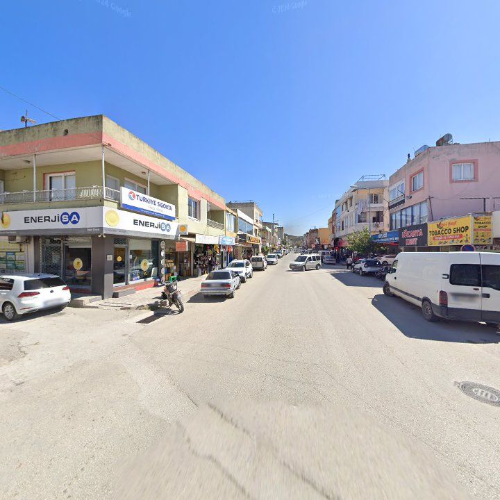 Fotoğraf 8