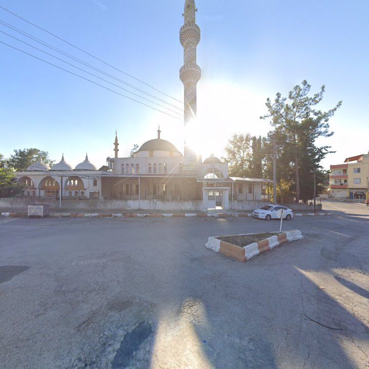 Fotoğraf 11