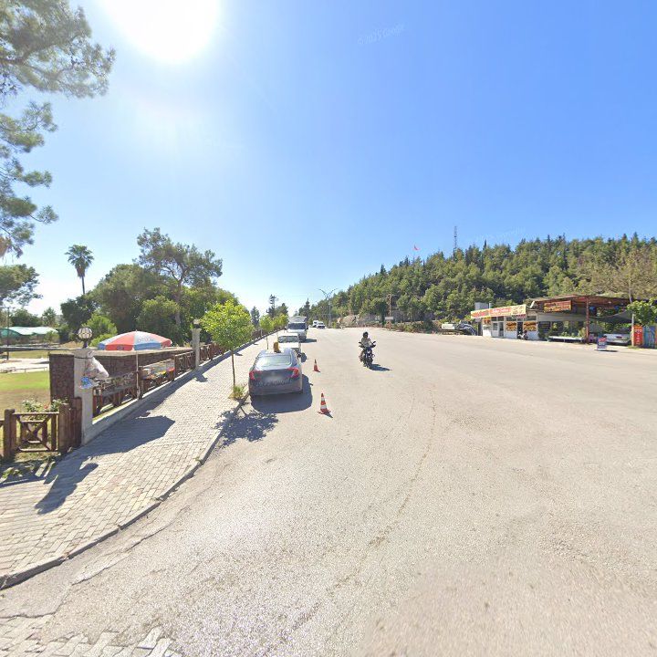 Fotoğraf 10