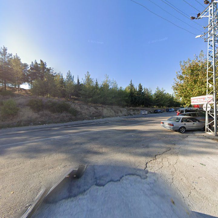 Fotoğraf 10
