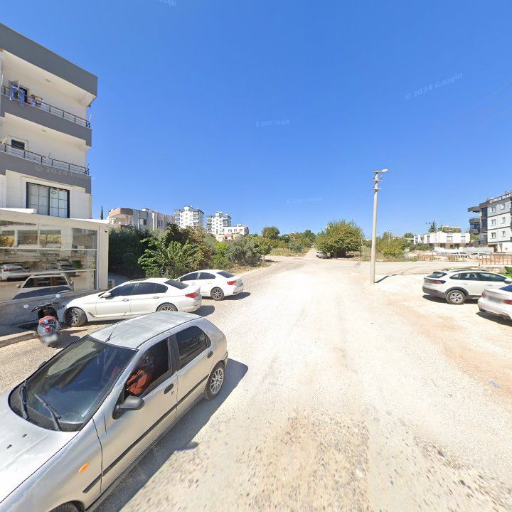 Fotoğraf 7