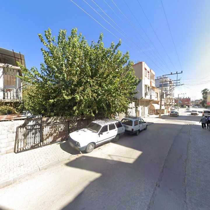 Fotoğraf 5