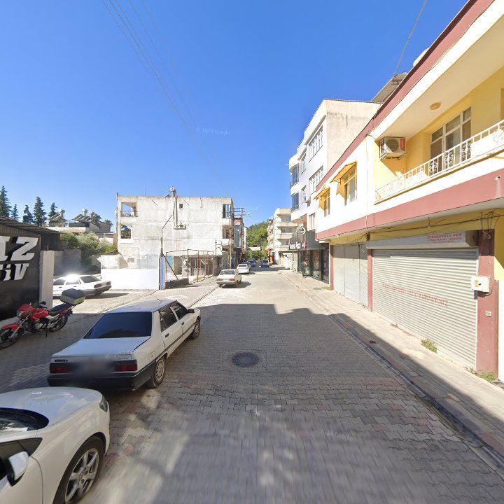 Fotoğraf 10