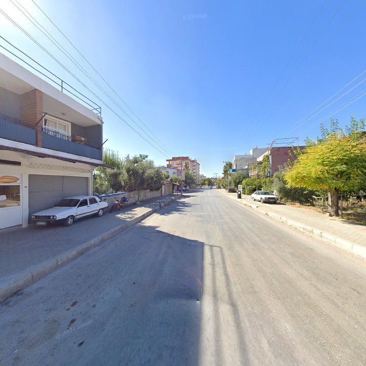 Fotoğraf 10