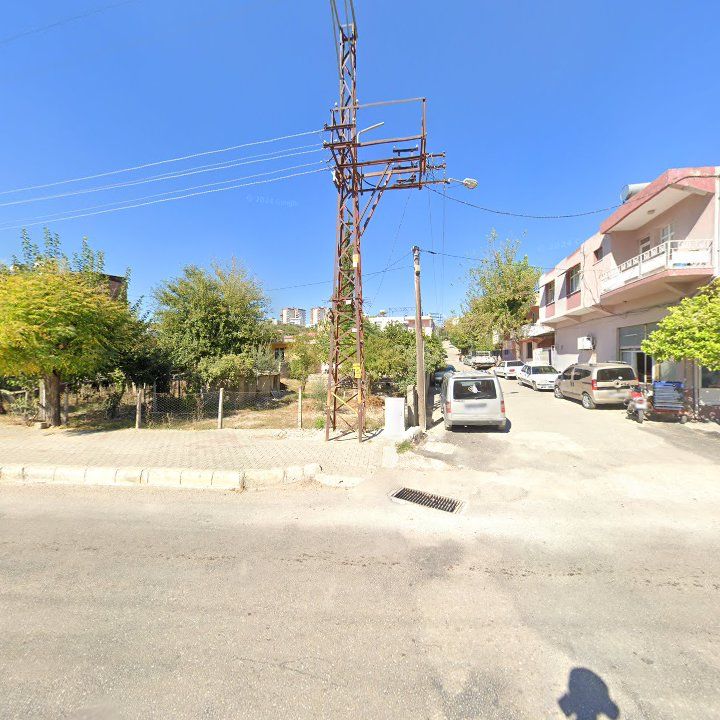 Fotoğraf 7