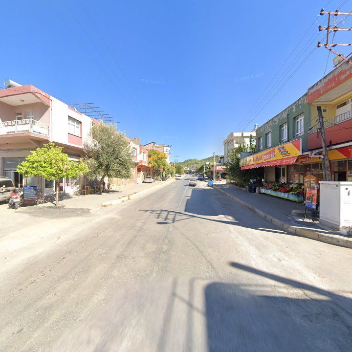 Fotoğraf 8