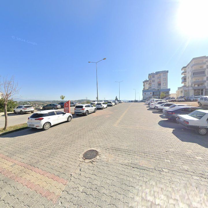 Fotoğraf 8
