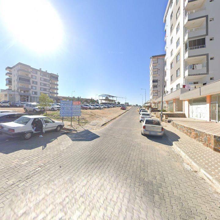 Fotoğraf 9