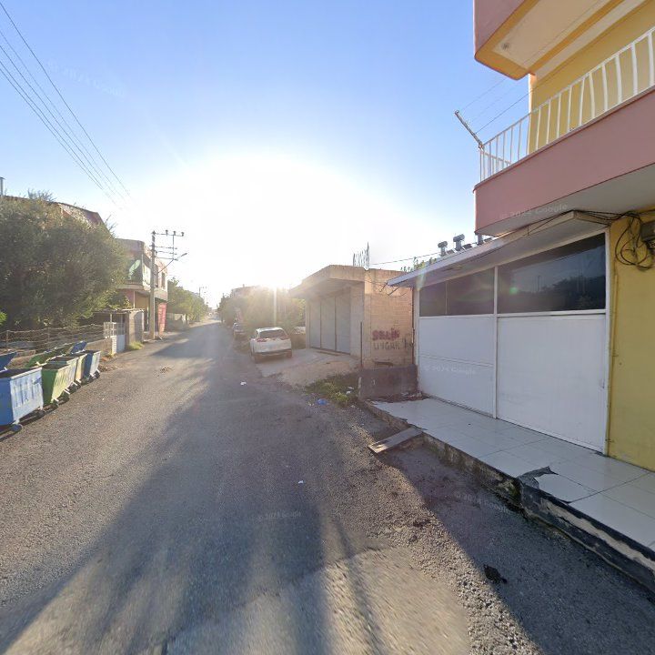 Fotoğraf 11