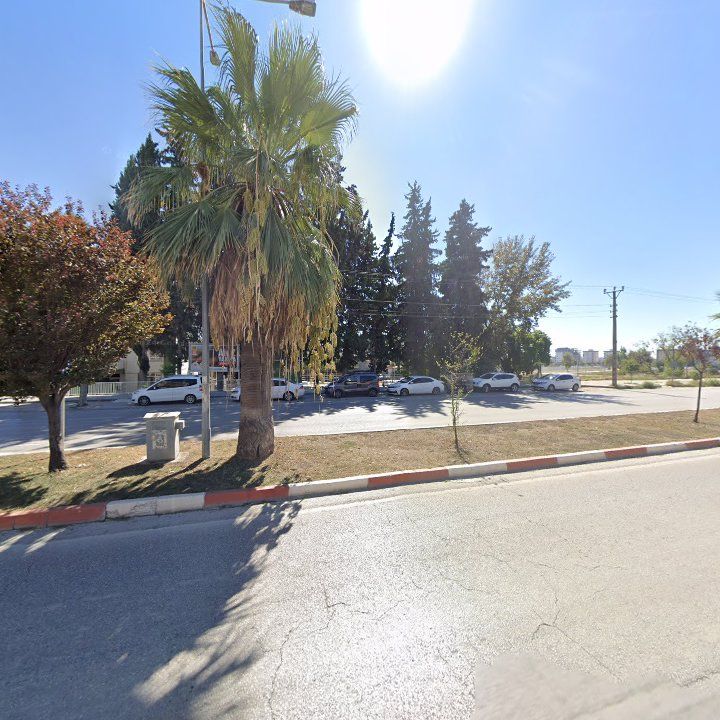 Fotoğraf 6