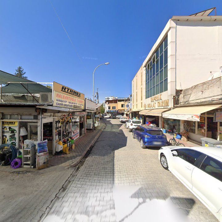 Fotoğraf 7