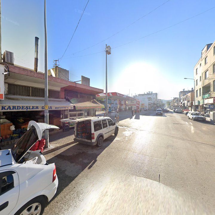 Fotoğraf 7