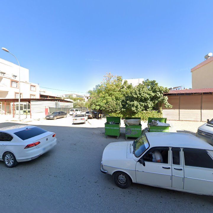 Fotoğraf 10