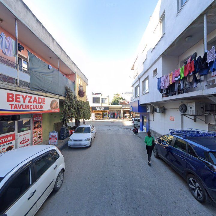 Fotoğraf 8
