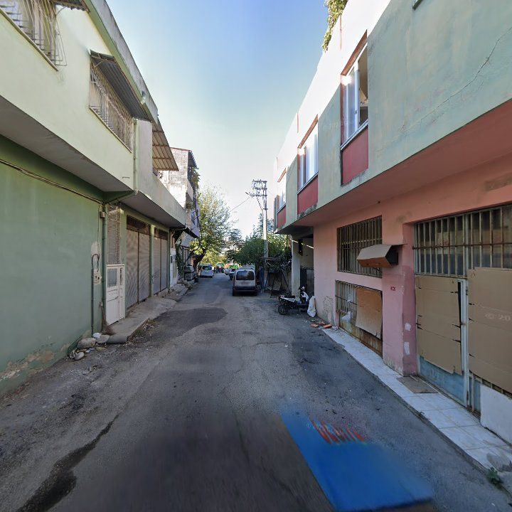 Fotoğraf 3