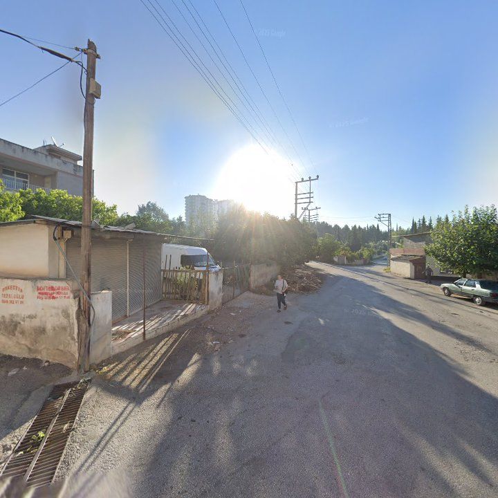Fotoğraf 2