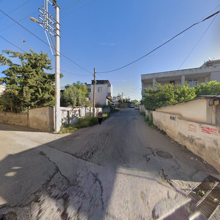 Fotoğraf 5