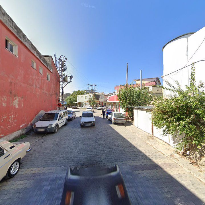 Fotoğraf 8