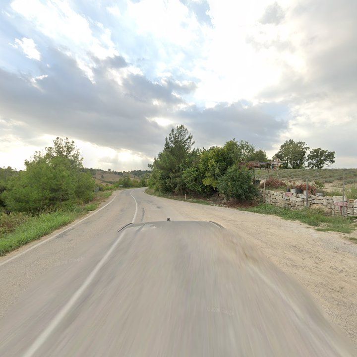 Fotoğraf 9