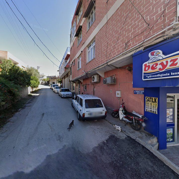 Fotoğraf 4