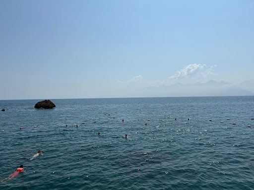 Yorum fotoğrafı 5